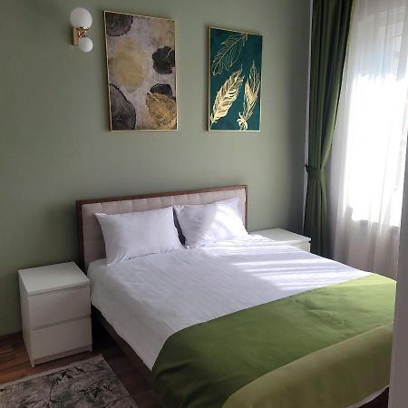 B8 - Spacious, Charming Apartment In Central Sibiu Buitenkant foto