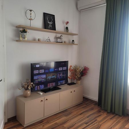 B8 - Spacious, Charming Apartment In Central Sibiu Buitenkant foto