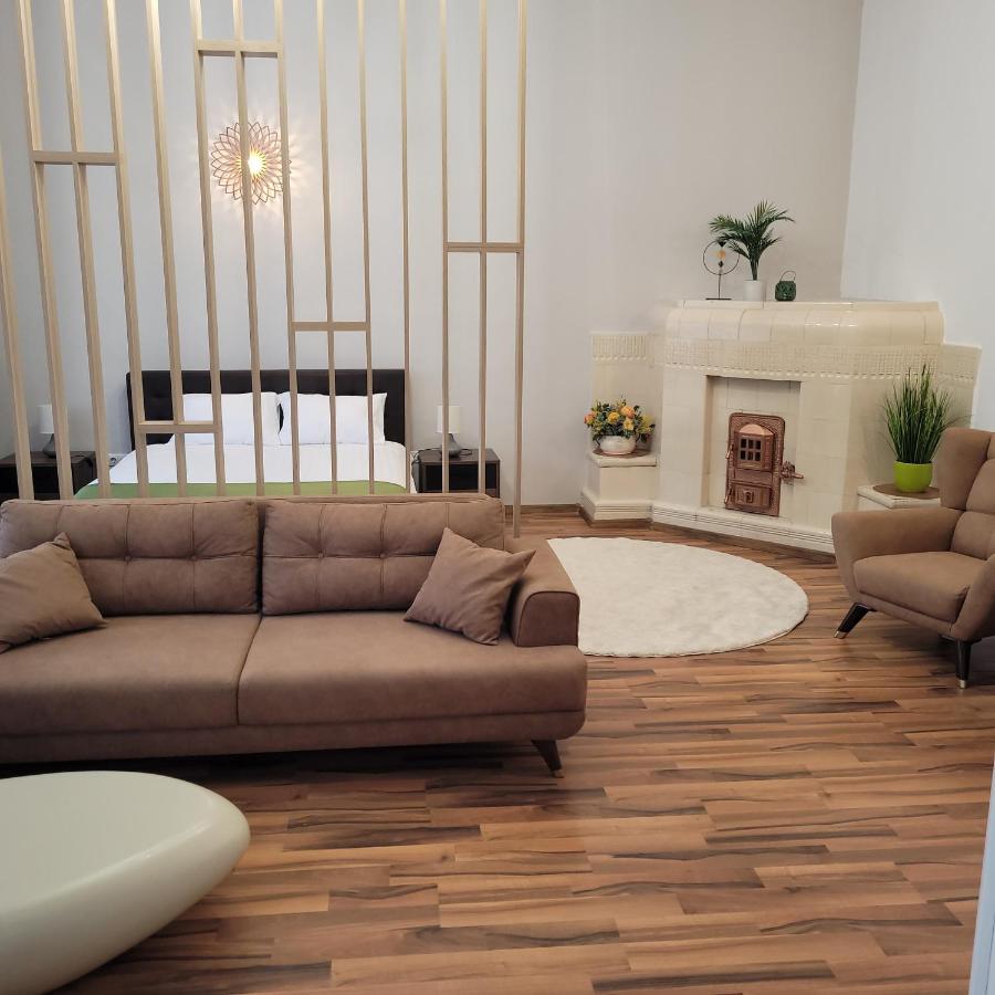 B8 - Spacious, Charming Apartment In Central Sibiu Buitenkant foto