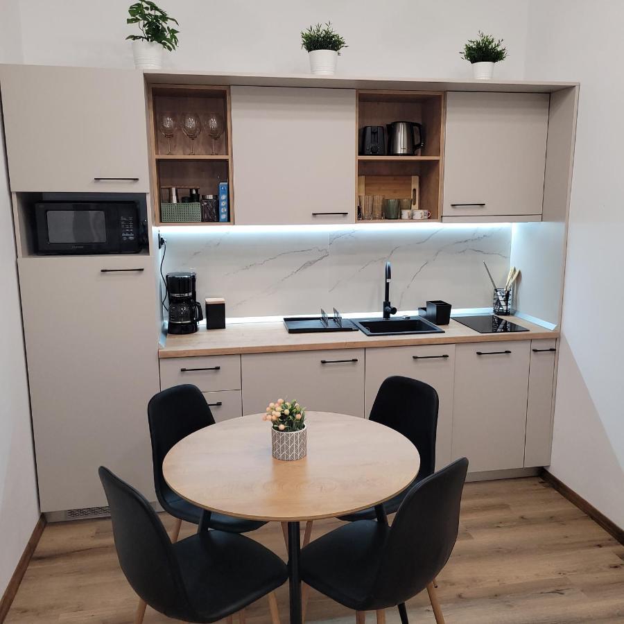 B8 - Spacious, Charming Apartment In Central Sibiu Buitenkant foto