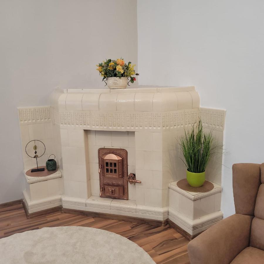 B8 - Spacious, Charming Apartment In Central Sibiu Buitenkant foto
