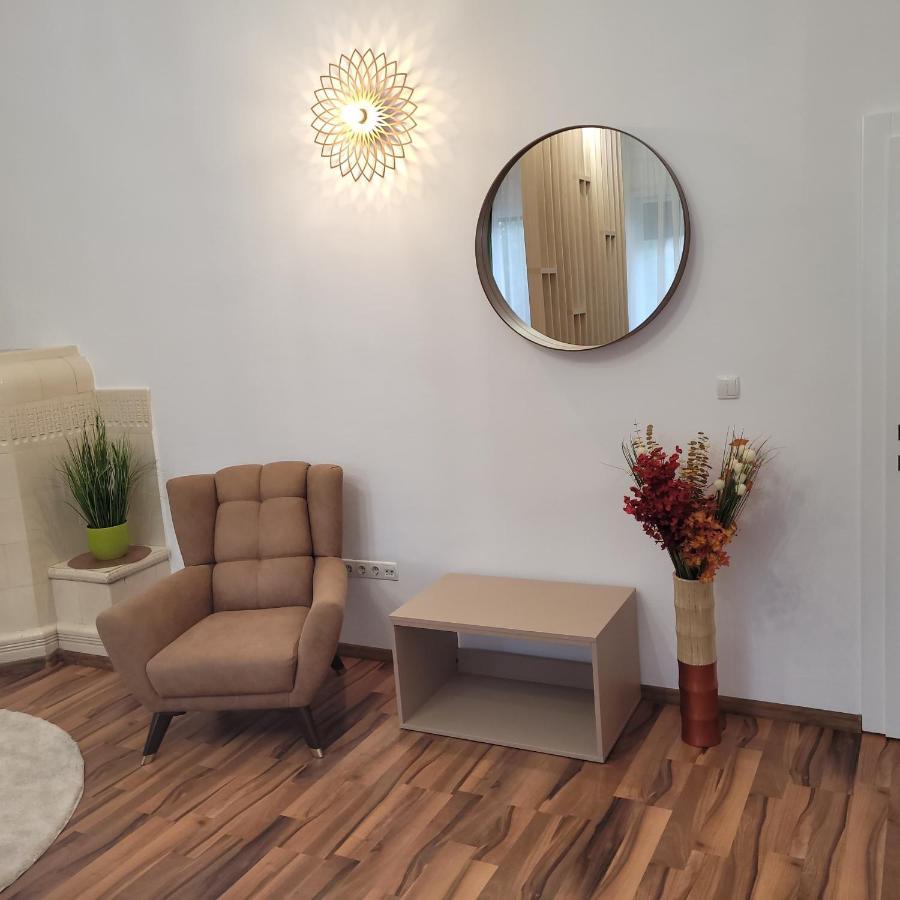 B8 - Spacious, Charming Apartment In Central Sibiu Buitenkant foto