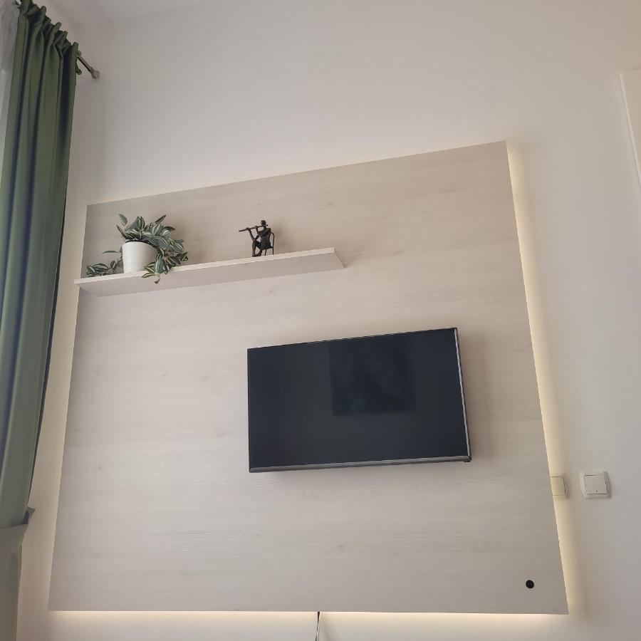 B8 - Spacious, Charming Apartment In Central Sibiu Buitenkant foto