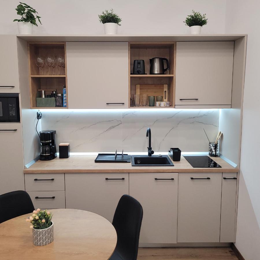 B8 - Spacious, Charming Apartment In Central Sibiu Buitenkant foto