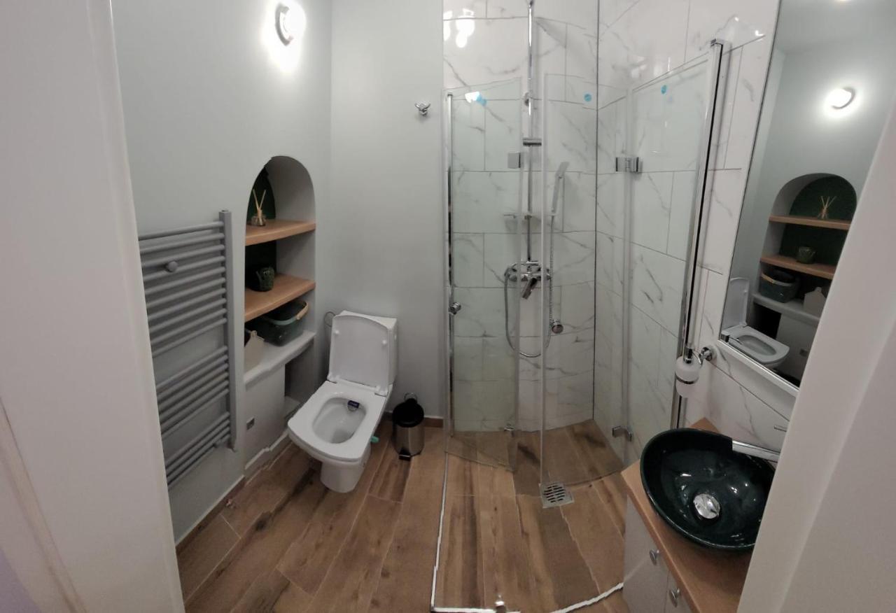 B8 - Spacious, Charming Apartment In Central Sibiu Buitenkant foto