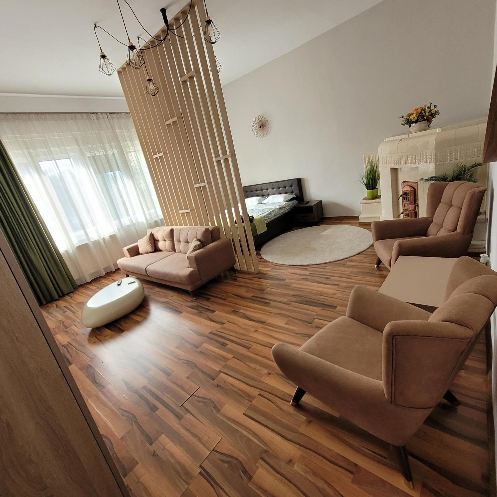 B8 - Spacious, Charming Apartment In Central Sibiu Buitenkant foto